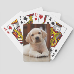 Jeu De Cartes Chiot jaune de Labrador de bébé s'étendant sur le