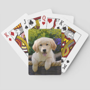 Jeu De Cartes Chiot mignon de charme de chien de Goldie, jouant