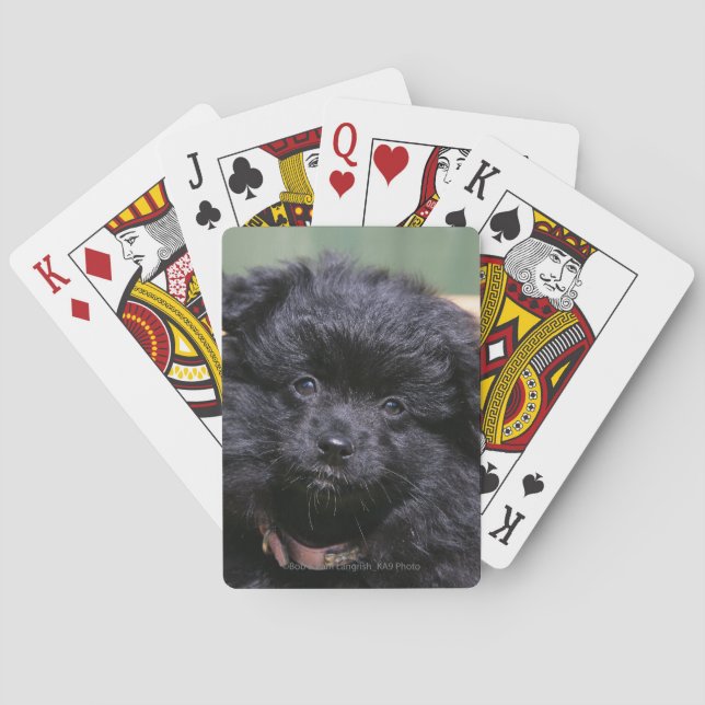 Jeu De Cartes Chiot noir de Pomeranian (dos)