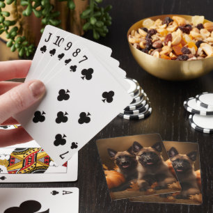Jeu De Cartes Chiots Berger Belge Délice d'Automne Citrouille