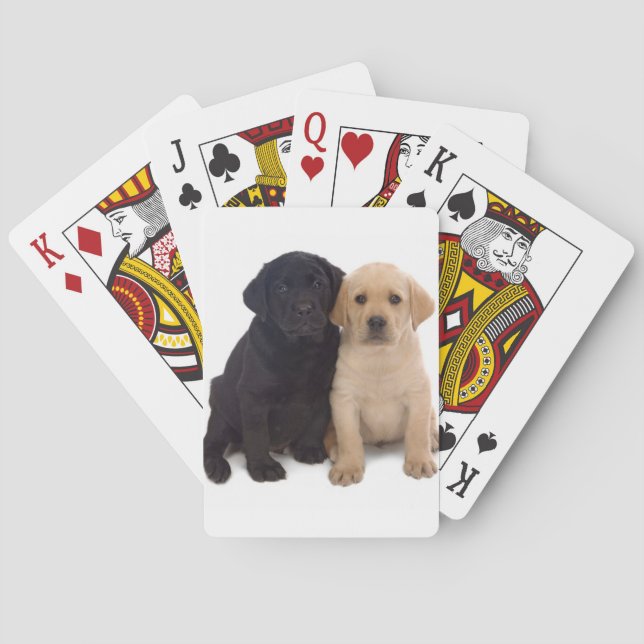 Jeu De Cartes chiots du labrador jouant aux cartes (dos)