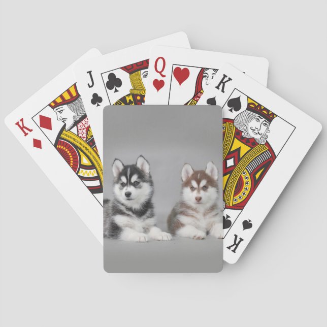 Jeu De Cartes Chiots husky sibériens (dos)