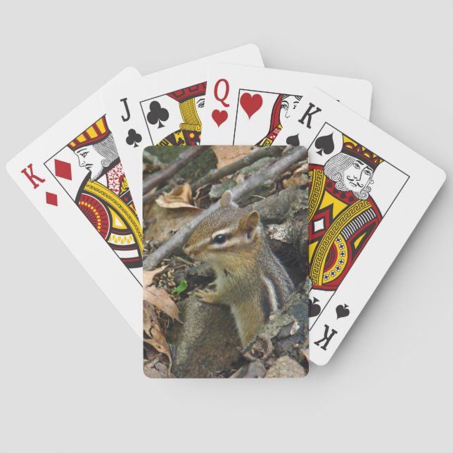Jeu De Cartes Chipmunk oriental - Tamias striatus (dos)