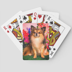 Jeu De Cartes Chiwawa mignon parmi des fleurs de ressort
