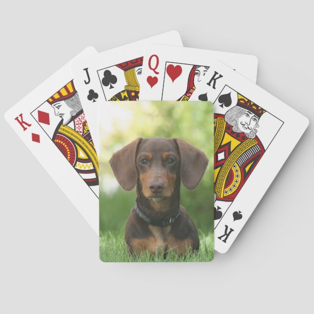 Jeu De Cartes Chocolat et Tan Dachshund - Doxie Chien (dos)