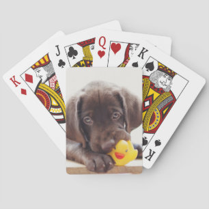 Jeu De Cartes Chocolat Labrador Puppy With Toy Duck