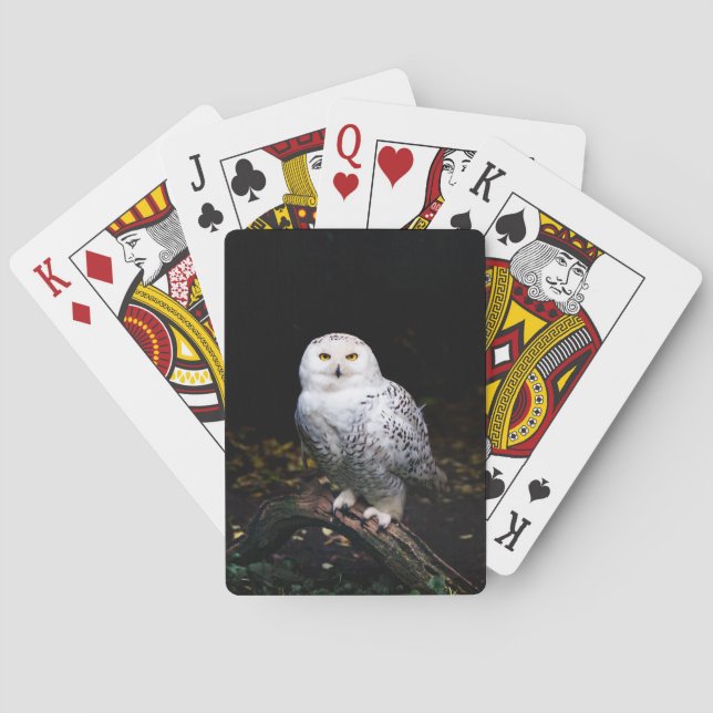 Jeu De Cartes Chouette hivernale majestueuse (dos)