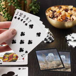 Jeu De Cartes Chouette Neige Jouer Cartes, Oconto