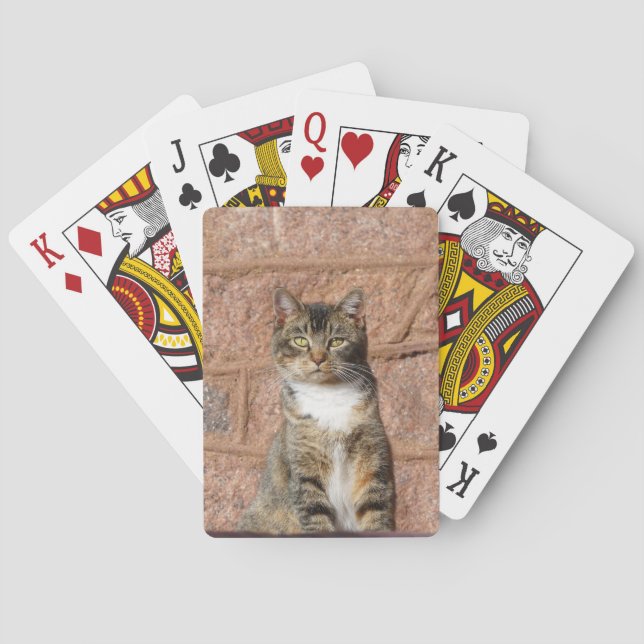 Jeu De Cartes Church Cat (dos)