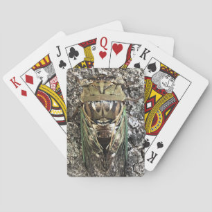 Jeu De Cartes Cicada
