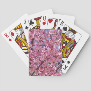 Jeu De Cartes Ciel Rose de Cerisier Sakura