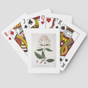 Jeu De Cartes Cinchona from 'Phytographie Medicale' by Joseph Ro