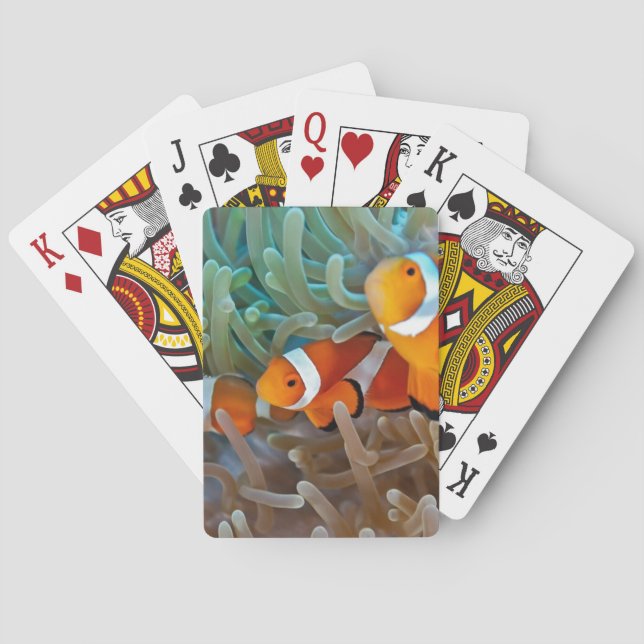 Jeu De Cartes Clownfish (dos)