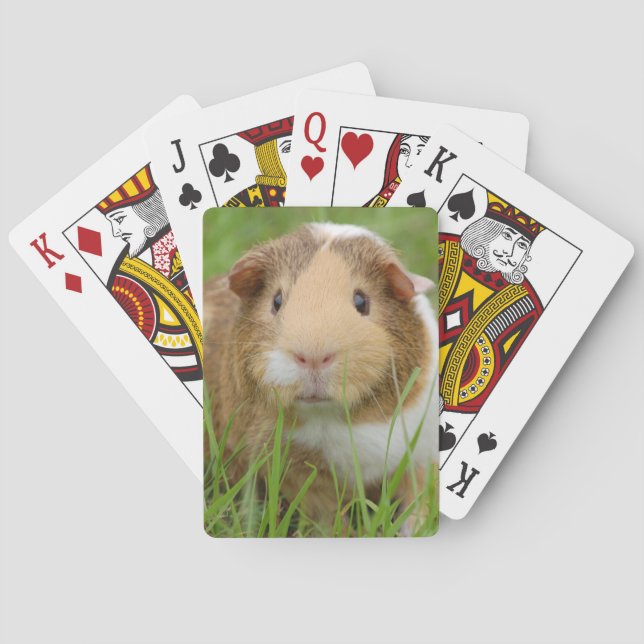 Jeu De Cartes Cobaye domestique mignon (dos)