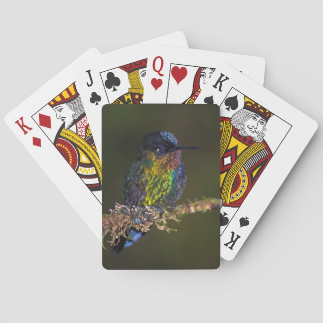 Jeu De Cartes Colibri (dos)