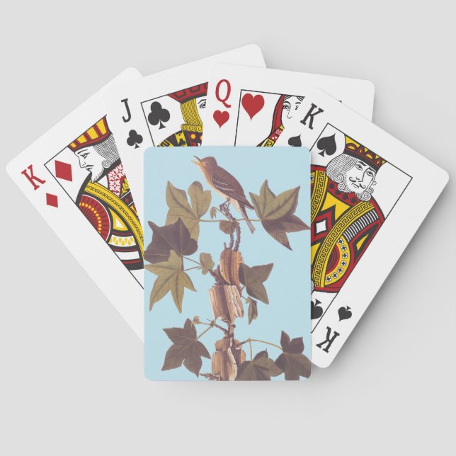 Jeu De Cartes Colibri Audubon Traill (dos)
