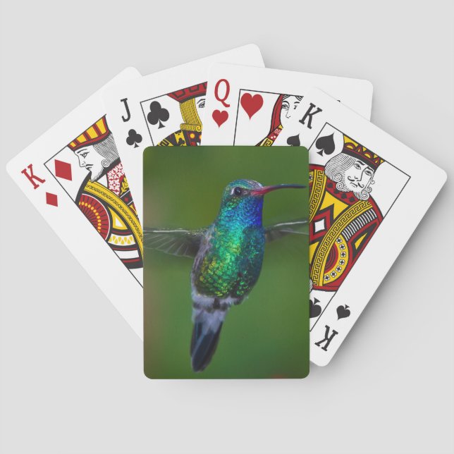 Jeu De Cartes Colibri de flottement (dos)