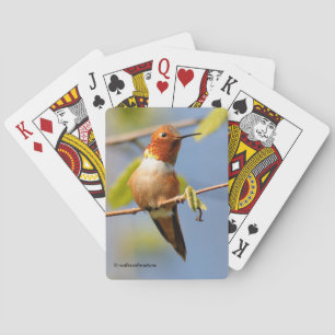 Jeu De Cartes Colibri roux mâle au soleil d'été