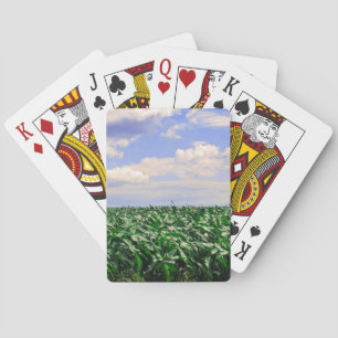 Jeu De Cartes collection "Champ de maïs soufflant dans le vent"