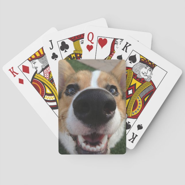 Jeu De Cartes Collection Welsh Corgi Chien Nose (dos)