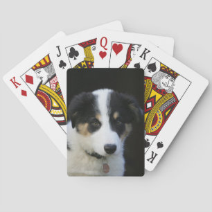 Jeu De Cartes Collie Collie Puppy vieille frontière de 12 semain