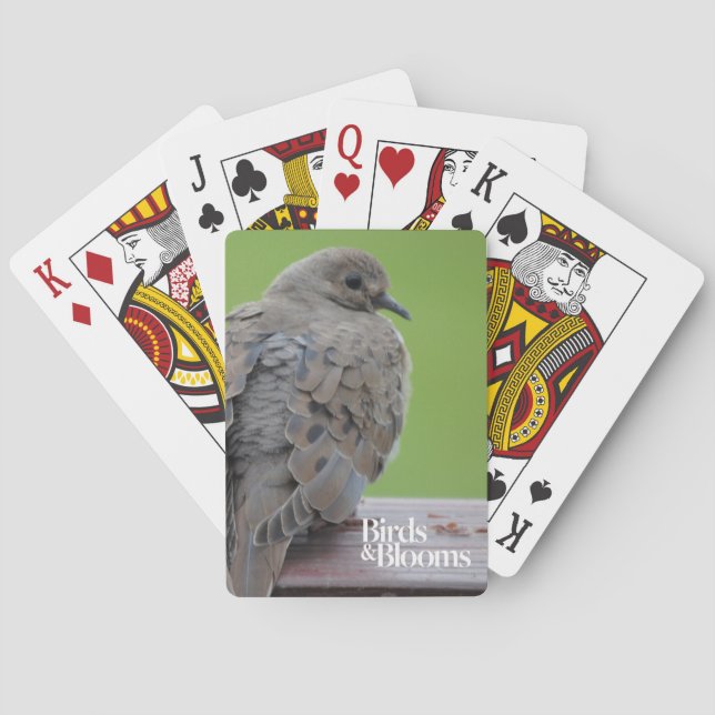 Jeu De Cartes Colombes de deuil (dos)