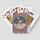 Colt de Pinto dans le clair de lune