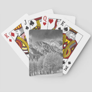 Jeu De Cartes Conifères et trembles dans une tempête de neige