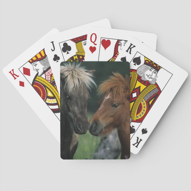 Jeu De Cartes Contact miniature de chevaux (dos)