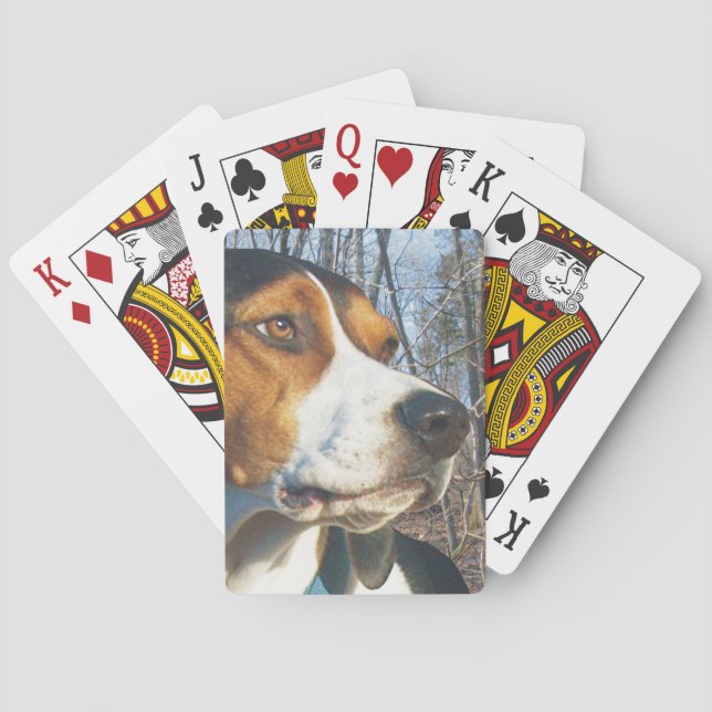 Jeu De Cartes Coonhound de marcheur de Treeing en bois (dos)