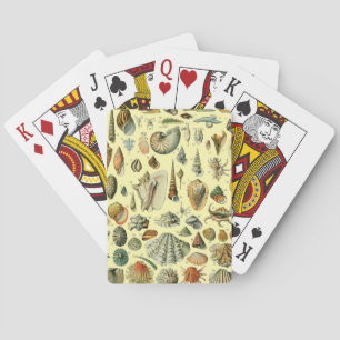 Jeu De Cartes Coquillages de coquillages Mollusk Clam Élégant Ar