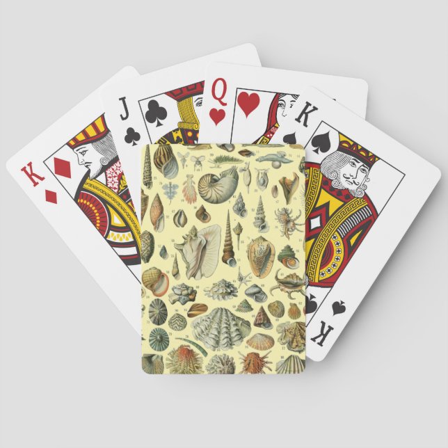 Jeu De Cartes Coquillages de coquillages Mollusk Clam Élégant Ar (dos)