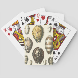 Jeu De Cartes Coquillages De Forme Unique