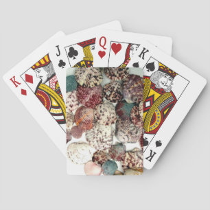 Jeu De Cartes Coquillages Jouer Des Cartes