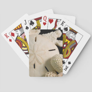 Jeu De Cartes Coquilles blanches et dollar de sable