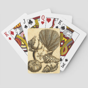 Jeu De Cartes Coquilles neutres et collection de coraux