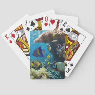 Jeu De Cartes Corail et poissons en Mer Rouge, Egypte