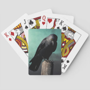 Jeu De Cartes Corbeau