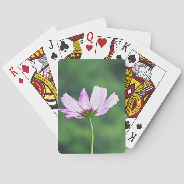 Jeu De Cartes Cosmos (dos)