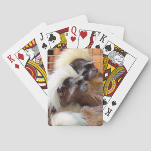 JEU DE CARTES COTON - TOP TAMARIN SINGES