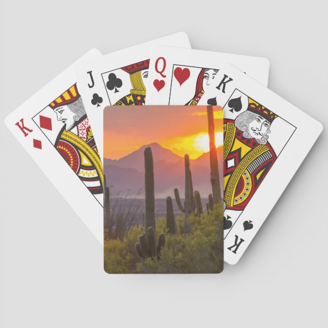 Jeu De Cartes Coucher de soleil de cactus du désert, Arizona (dos)
