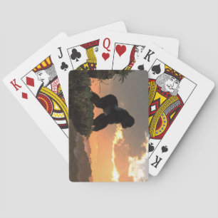 Jeu De Cartes Coucher de soleil de Gorilla