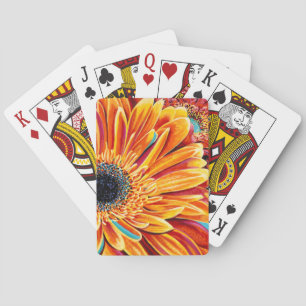 Jeu De Cartes Couleurs éclatées II