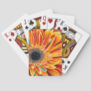 Jeu De Cartes Couleurs éclatées II