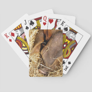 JEU DE CARTES COUPER