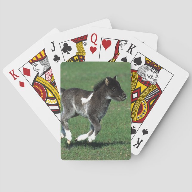 Jeu De Cartes Courant de poulain miniature (dos)