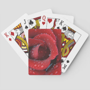 Jeu De Cartes Couvre-tombe recouvert de roses rouges sur le site