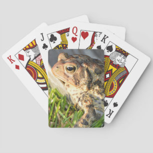 Jeu De Cartes Crapaud