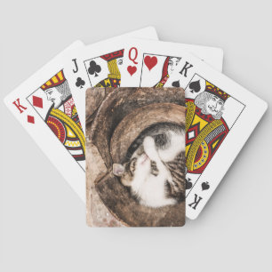 Jeu De Cartes Créez vos propres - petit somme de chat