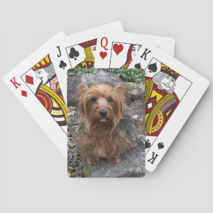 Jeu De Cartes Créez votre propre chien Photo personnalisée Anima